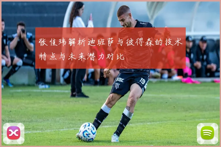 张佳玮解析迪班萨与彼得森的技术特点与未来潜力对比