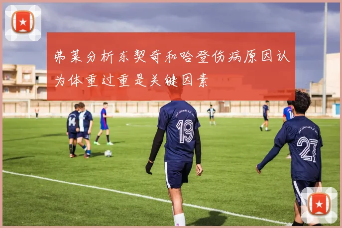 弗莱分析东契奇和哈登伤病原因认为体重过重是关键因素